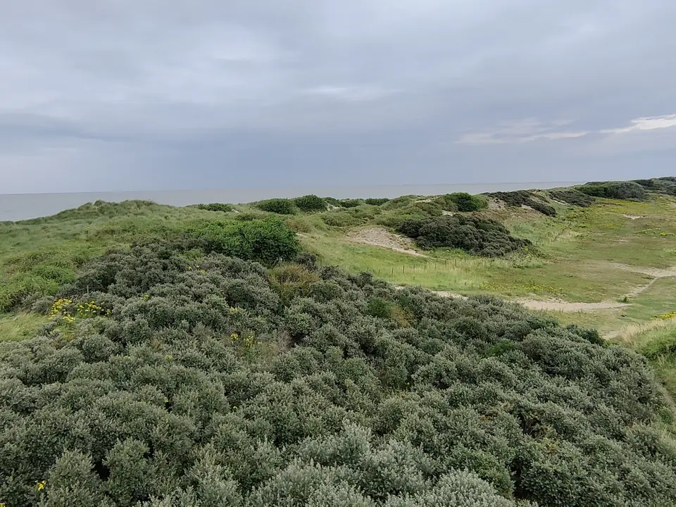 Flanders and the coast