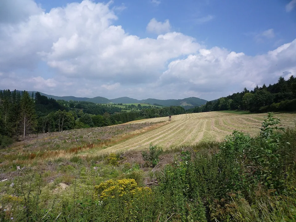 The Sauerland and further afield