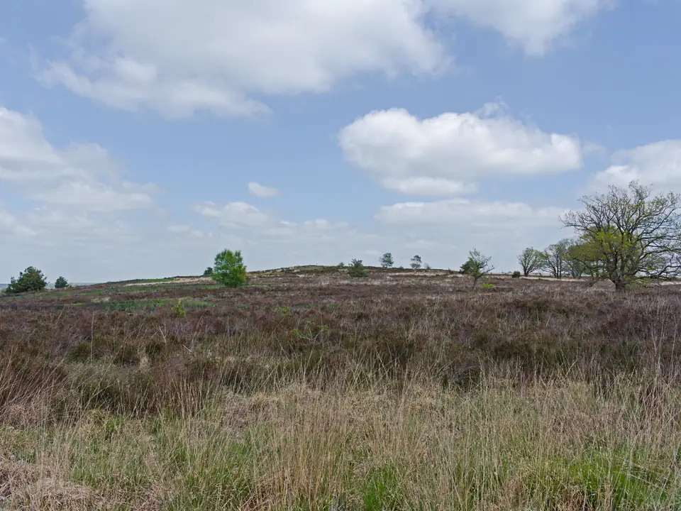 Brabant and Overijssel: quiet roads inland