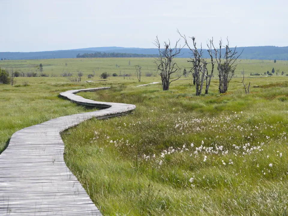 The High Fens: open plateau riding
