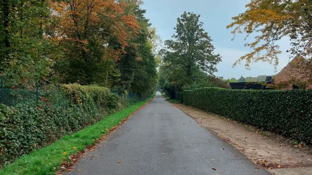 Autumn motorcycle rides: home before dark